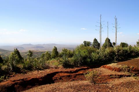 copyright: Christian Georg