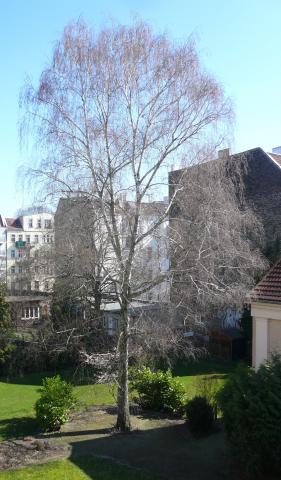 copyright: Joachim Georg