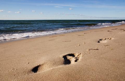 copyright: Silko Barth