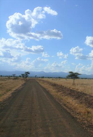 copyright: Joachim Georg 2014, Meru National Park, Kenya