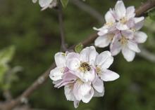 copyright: Bernd Hermann