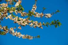 copyright: Christian Georg