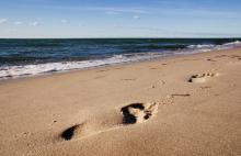 copyright: Silko Barth