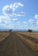 copyright: Joachim Georg 2014, Meru National Park, Kenya
